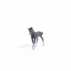 schleich HORSE CLUB Trakehner Foal - Additional view 6