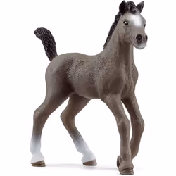 schleich HORSE CLUB Selle Français Foal, 5 yr(s), Brown