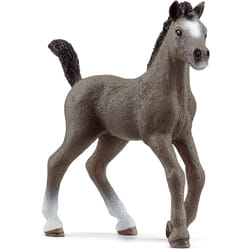 schleich HORSE CLUB Selle Français Foal