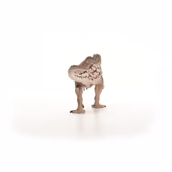 schleich Dinosaurs Carcharodontosaurus - Additional view 4