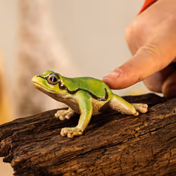 schleich WILD LIFE European Tree Frog