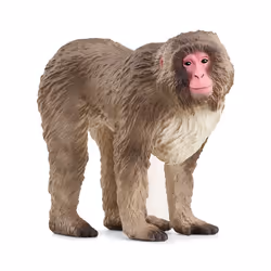 schleich WILD LIFE Japanese Macaque, 3 yr(s), Beige, Brown, Pink