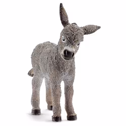 Donkey foal