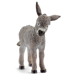 Donkey foal