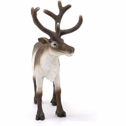14837 Reindeer Wild Life Toy Figurine for children aged 3-8 Years, Brown