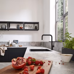 Hansgrohe Talis Kitchen Mixer Tap Single Lever Modern Round Black Swivel Spout