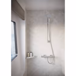 hansgrohe 41741000 AddStoris Shower Basket  Chrome