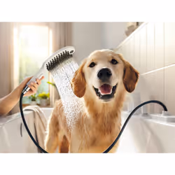 Hansgrohe DogShower Handheld shower head White