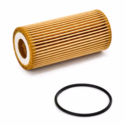 CHAMPION COF100697E Oil filter with gaskets/seals Filter Insert SKODA: Superb III Hatchback, SEAT: Leon III Hatchback, VOLKSWAGEN: Polo V Hatchback