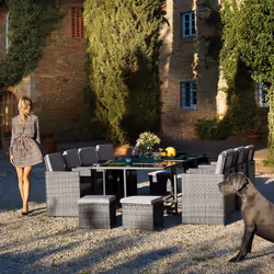 TecTake 404629 outdoor furniture set Black, Grey