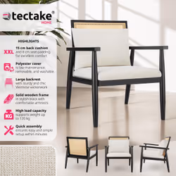TecTake 405312 accent chair