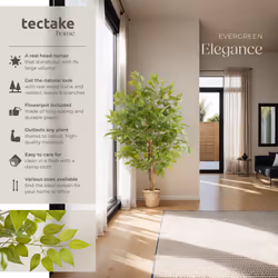 Artificial Plant - detailed and lifelike, ficus tree, low-maintenance