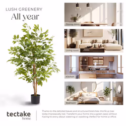 Artificial Plant - detailed and lifelike, ficus tree, low-maintenance - Additional view 8