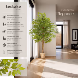 Artificial Plant - detailed and lifelike, ficus tree, low-maintenance