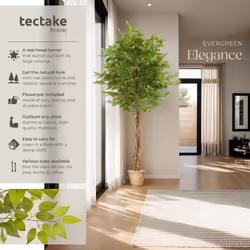 Artificial Plant - detailed and lifelike, ficus tree, low-maintenance