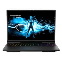 MEDION ERAZER Beast X40 Intel Core i9 32GB RAM 2TB SSD RTX 4090 240Hz