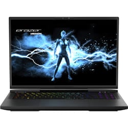 MEDION ERAZER Beast X40 Intel Core i9 32GB RAM 2TB SSD RTX 4080 240Hz