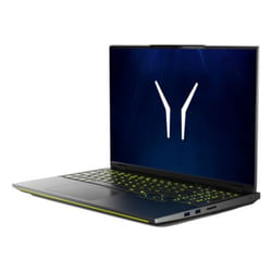 ERAZER Beast 16 X15 (MD 600070) UK AMD Ryzen™ 9 8940HX Laptop 40.6 cm (16") Quad HD+ 32 GB DDR5-SDRAM 2 TB SSD NVIDIA GeForce RTX 5070 Ti Wi-Fi 6E (802.11ax) Windows 11 Home Black