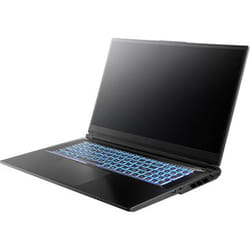 MEDION Erazer Defender 17 P10 Intel Core i9 14900HX 16GB RAM 1TB SSD GeForce RTX 5060 144Hz 17.3" Windows 11 Home Gaming Laptop Intel® Core™ i9 i9-14900HX 43.9 cm (17.3") Full HD DDR5-SDRAM NVIDIA GeForce RTX 5060 Wi-Fi 6E (802.11ax) Black