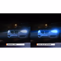 OSRAM 64210CBN Bulb, spotlight H7 12V 55W 5000K Halogen SSANGYONG: Korando III Off-Road, VOLKSWAGEN: Polo IV Hatchback, Caddy 3, Tiguan I - Additional view 4