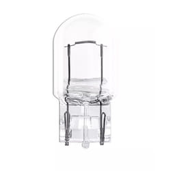 OSRAM 7505-2BL Light Bulbs 12 21 W21W