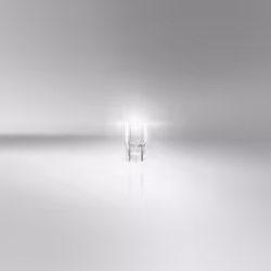 OSRAM 7505-2BL Light Bulbs 12 21 W21W