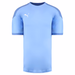 Puma DryCell TeamFinal 21 Short Sleeve Mens Light Blue Training Jersey T-Shirt 656481 18 (UK ) - L