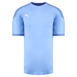 Puma DryCell TeamFinal 21 Short Sleeve Mens Light Blue Training Jersey T-Shirt 656481 18 (UK ) - L