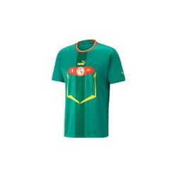 Senegal Away Shirt 2022/23 - L