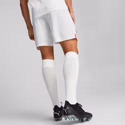 PUMA 765856_02_XL sports shorts