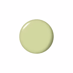 Nail Polish | Xbox Collection | Infinite Shine Long-Wear Nail Polish | 2nd Step | The Pass is Always Greener | 15 ml