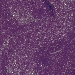 Infinite Shine - Wicked Collection - Long-lasting nail polish #Head Shizstress