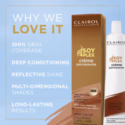 CLAIROL PROFESSIONAL Permanent Crme  4BB Light Chocolate Brown  2oz