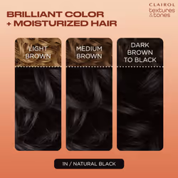 Clairol Textures & Tones Permanent Hair Dye  1N Natural Black Hair Color  Pack of 1