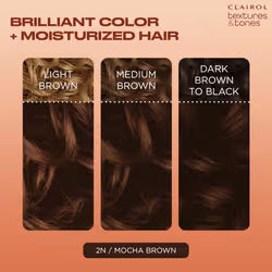 Clairol Textures & Tones Permanent Hair Dye  2N Mocha Brown Hair Color  Pack of 1