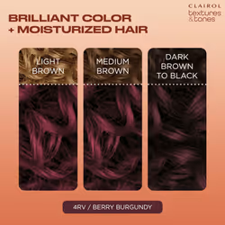 Clairol Textures & Tones Permanent Hair Dye  4RV Berry Burgundy Hair Color  Pack of 1
