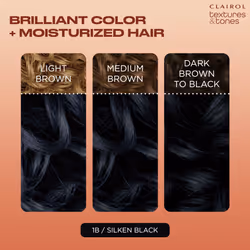 Clairol Textures & Tones Permanent Hair Dye  1B Silken Black Hair Color  Pack of 1