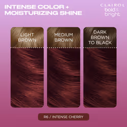 Clairol Bold & Bright Permanent Hair Dye  R6 Intense Cherry Hair Color  Pack of 1