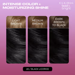 Clairol Bold & Bright Permanent Hair Dye  20 Black Licorice Hair Color  Pack of 1