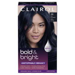 Clairol Bold & Bright Permanent Hair Dye  28 Wild Blackberry Hair Color  Pack of 1
