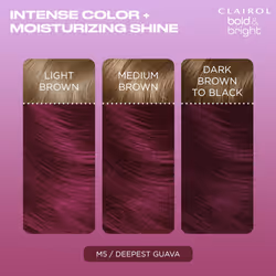 Clairol Bold & Bright Permanent Hair Dye  M5 Deepest Guava Hair Color  Pack of 1