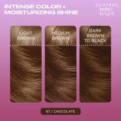 Clairol Bold & Bright Permanent Hair Dye  67 Chocolate Hair Color  Pack of 1