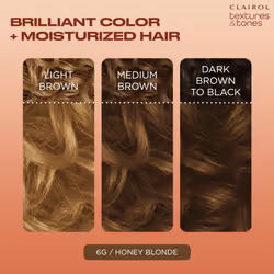 Clairol Textures & Tones Permanent Hair Dye  6G Honey Blonde Hair Color  Pack of 1