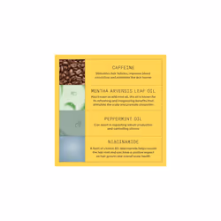 Scalp + Hair Thickening System 1 Kit - Hair Thickening System for Natural Hair with Light Thinning - Shampoo, Conditioner & Scalp Treatment - Additional view 6