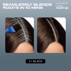 Clairol Root Touch-Up by Nice'n Easy Permanent Hair Dye  2 Black Hair Color  Pack of 2