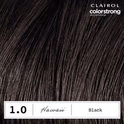 Clairol ColorStrong Permanent Zero Ammonia Hair Dye  1.0 Black - Hawaii Hair Color  Pack of 1