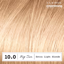 Clairol ColorStrong Permanent Zero Ammonia Hair Dye  10.0 Extra Light Blonde - Big Sur Hair Color  Pack of 1