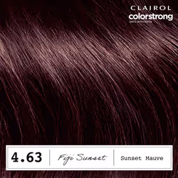 Clairol ColorStrong Permanent Zero Ammonia Hair Dye  4.63 Sunset Mauve - Fiji Sunset Hair Color  Pack of 1