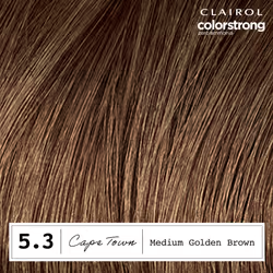 Clairol ColorStrong Permanent Zero Ammonia Hair Dye  5.3 Medium Golden Brown - Cape Town Hair Color  Pack of 1