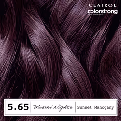Clairol ColorStrong Permanent Zero Ammonia Hair Dye  5.65 Sunset Mahogany - Miami Nights Hair Color  Pack of 1